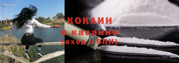 крисы Няндома