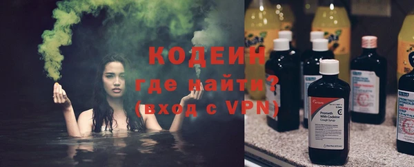 крисы Няндома