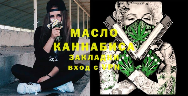 крисы Няндома