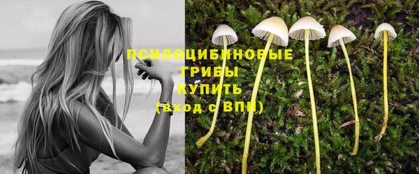 дурь Нязепетровск