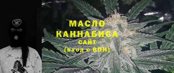 крисы Няндома