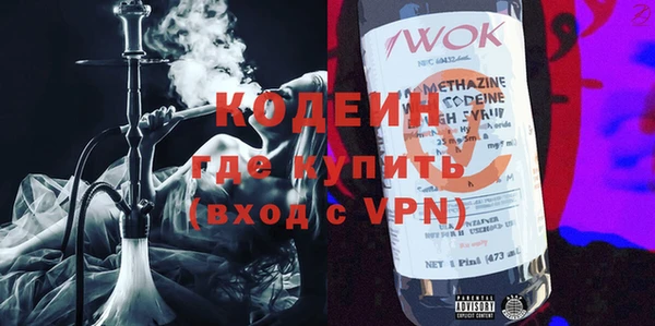 крисы Няндома