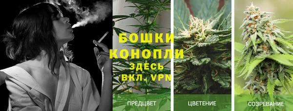 крисы Няндома